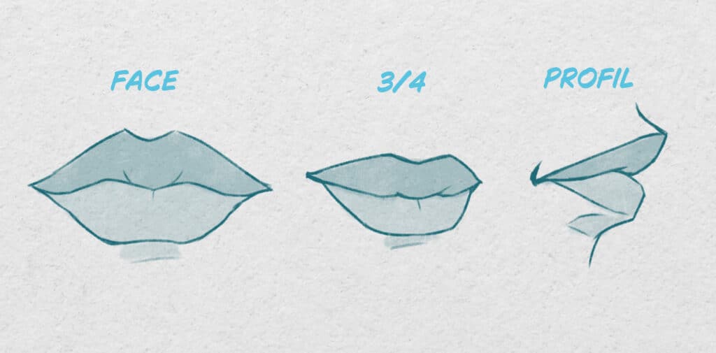 Bouche dans plusieurs angles de vue
