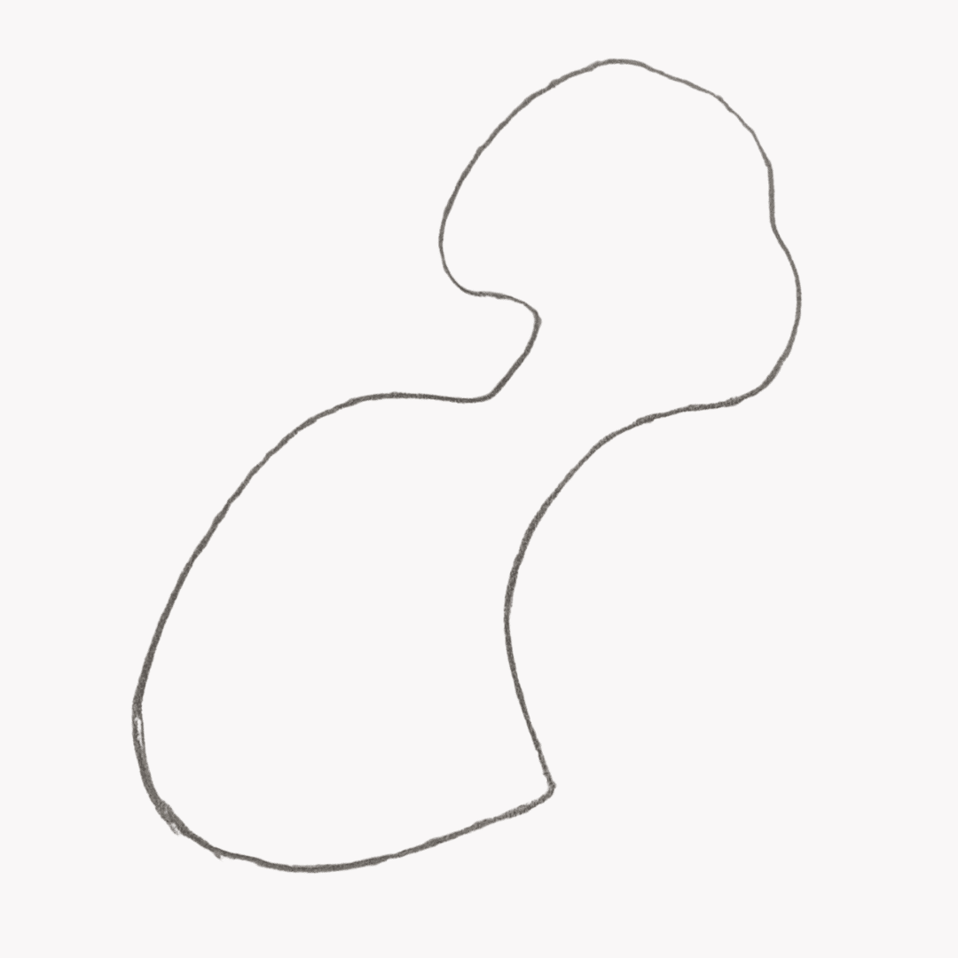 Tracé initial des contours pour exercice de silhouette