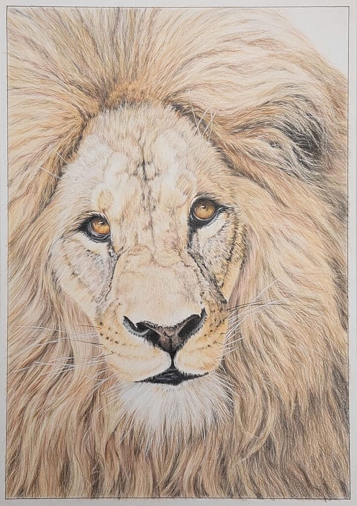 Lion aux crayons de couleurs