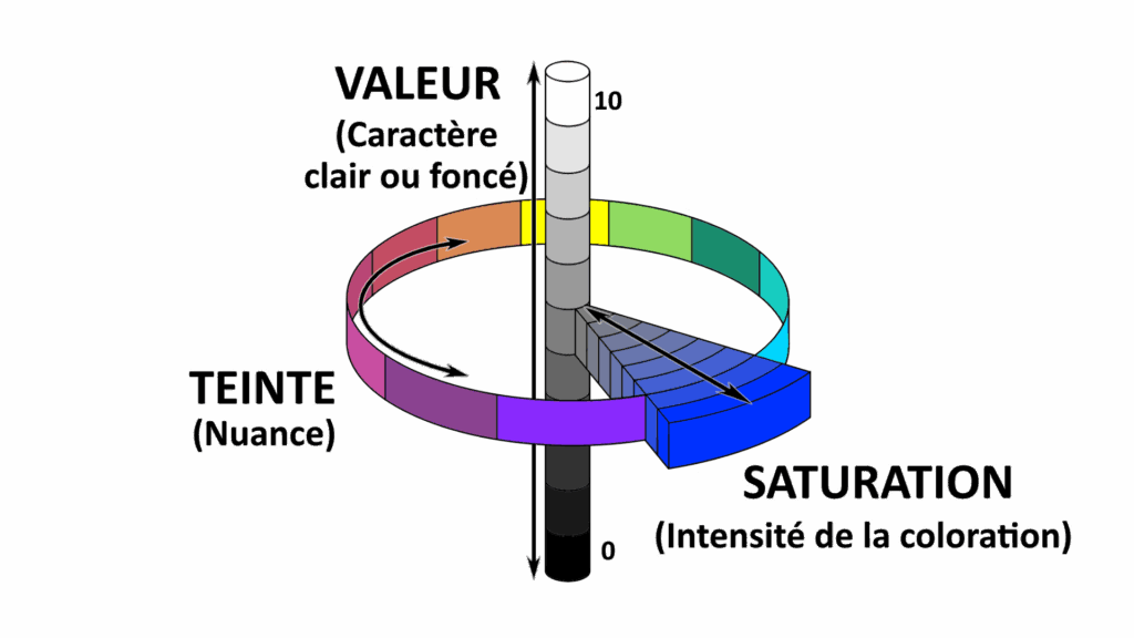 Roue des composantes de la couleur