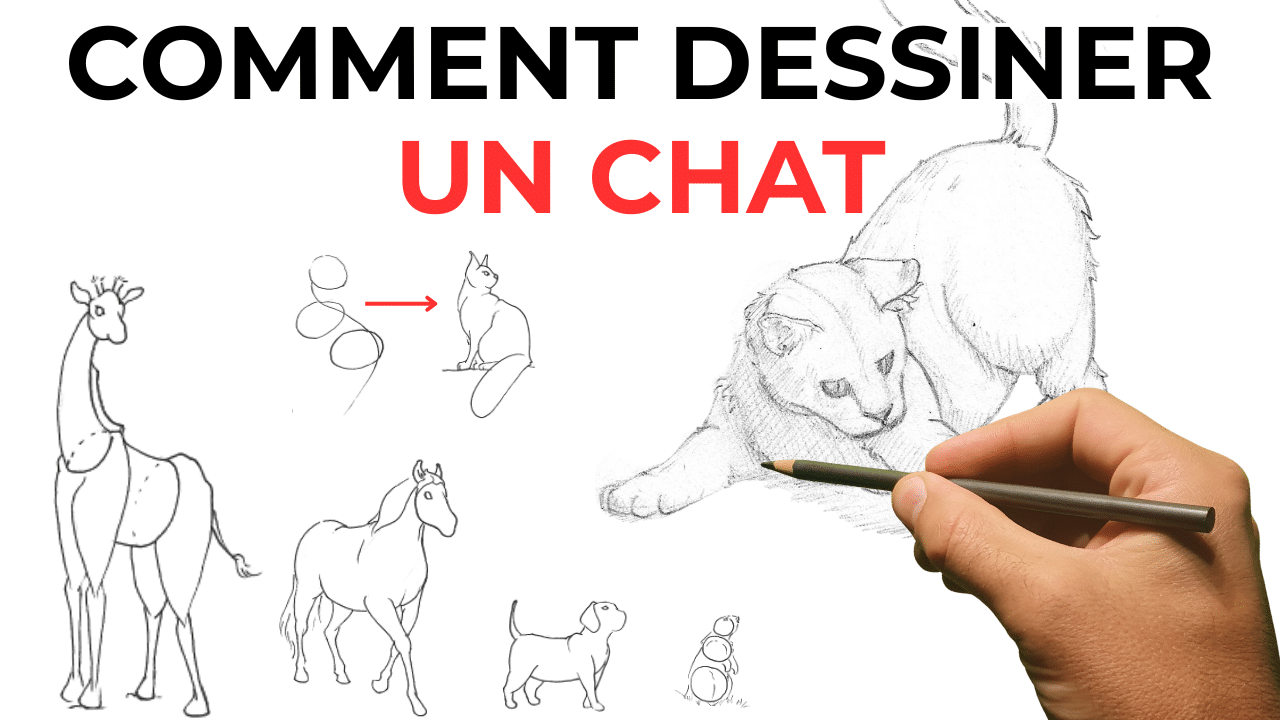 comment dessiner d