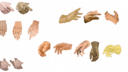 Mains Inkscape