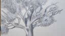 22 arbre 2