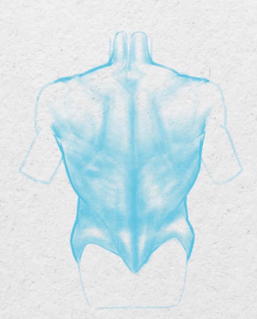 Les ombres sur les muscles du dos.