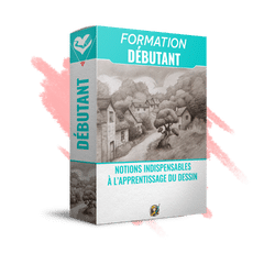 Formation débutant pour les dessinateurs débutants/amateurs qui veulent des bases solide