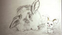 J 14 Lapin Tiny 2300 x 1411 IMG