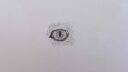 Jour 6 Oeil