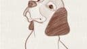 Jour 9 Chien