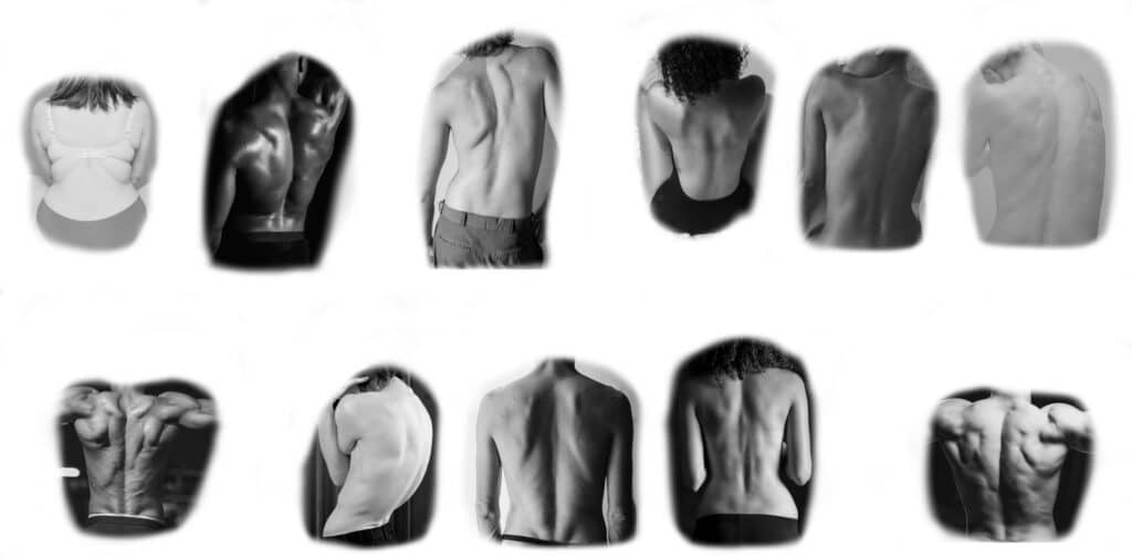 Références photo pour dessiner le dos.