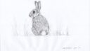 Lapin jour 14