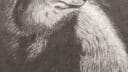 Loup