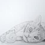 Nahemi_ski - instagram