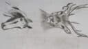 Deux figures de chevaux en mouvement, dessinées en noir et blanc, sur fond blanc