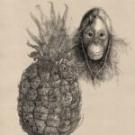 Varia_naturalia - instagram