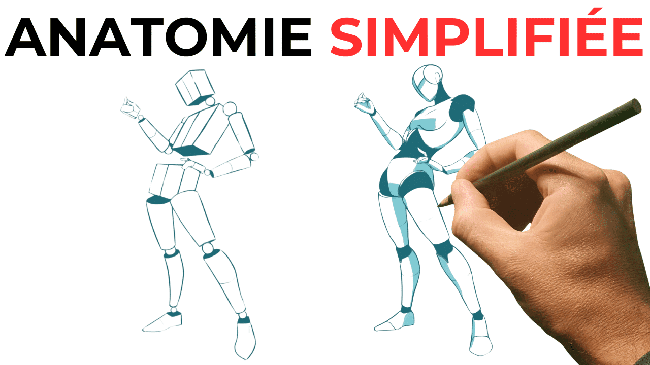 Vignette live+ Anatomie simplifiée