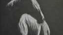 Cheval