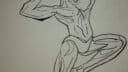 Musculature 2