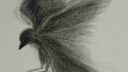 14 plumes fusain