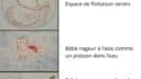 15 nageur