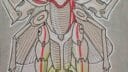 Illustration d'un insecte robotique avec des détails mécaniques et colorés