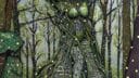 Illustration d'une femme fusionnée avec des racines et des arbres.