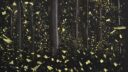 Illustration d'une peinture abstraite avec des éclats dorés sur fond sombre