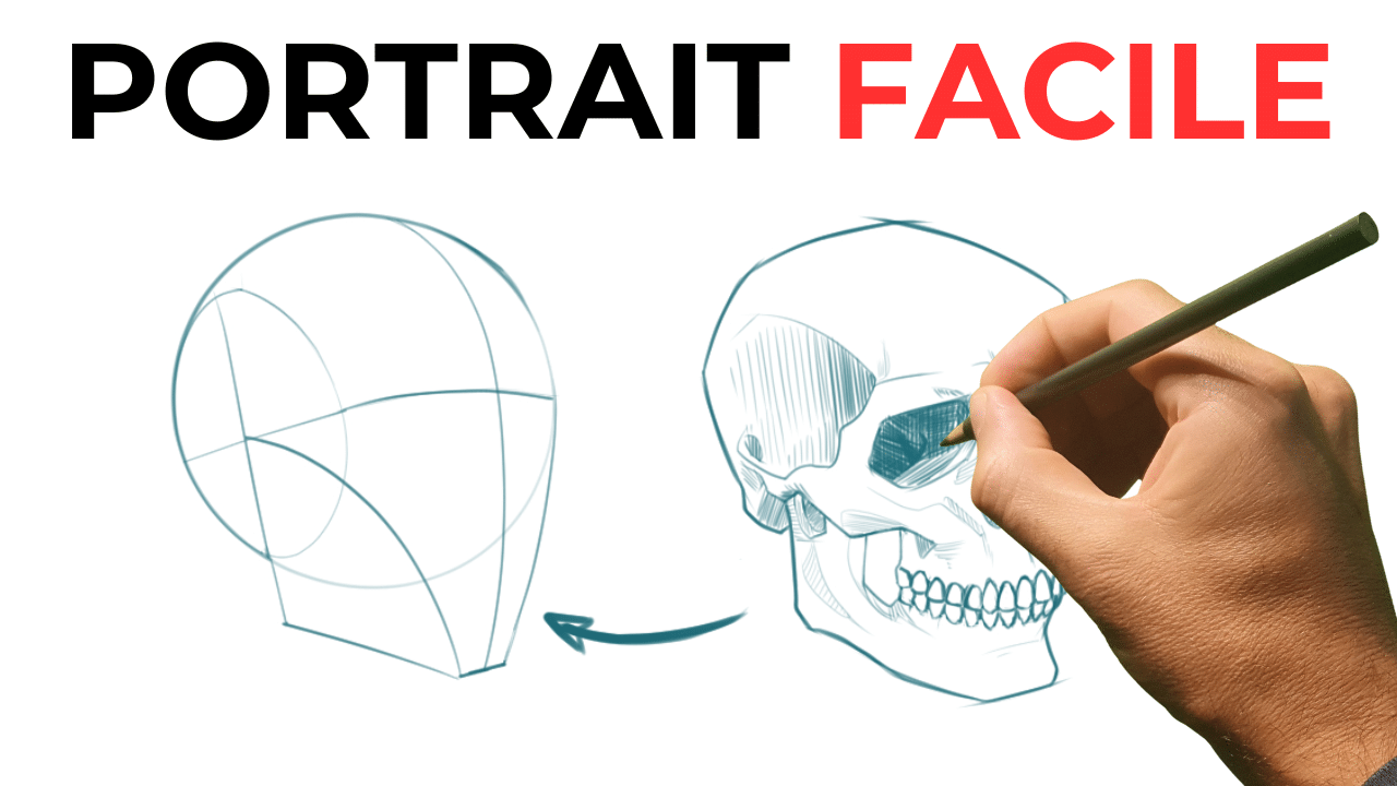 Étapes pour dessiner un portrait avec un crâne et un visage
