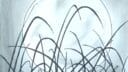 Illustration de hautes herbes noires devant une lune lumineuse