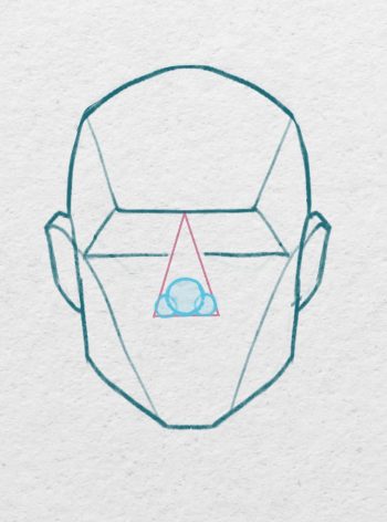 Dessiner un nez de face - Position des ailes du nez
